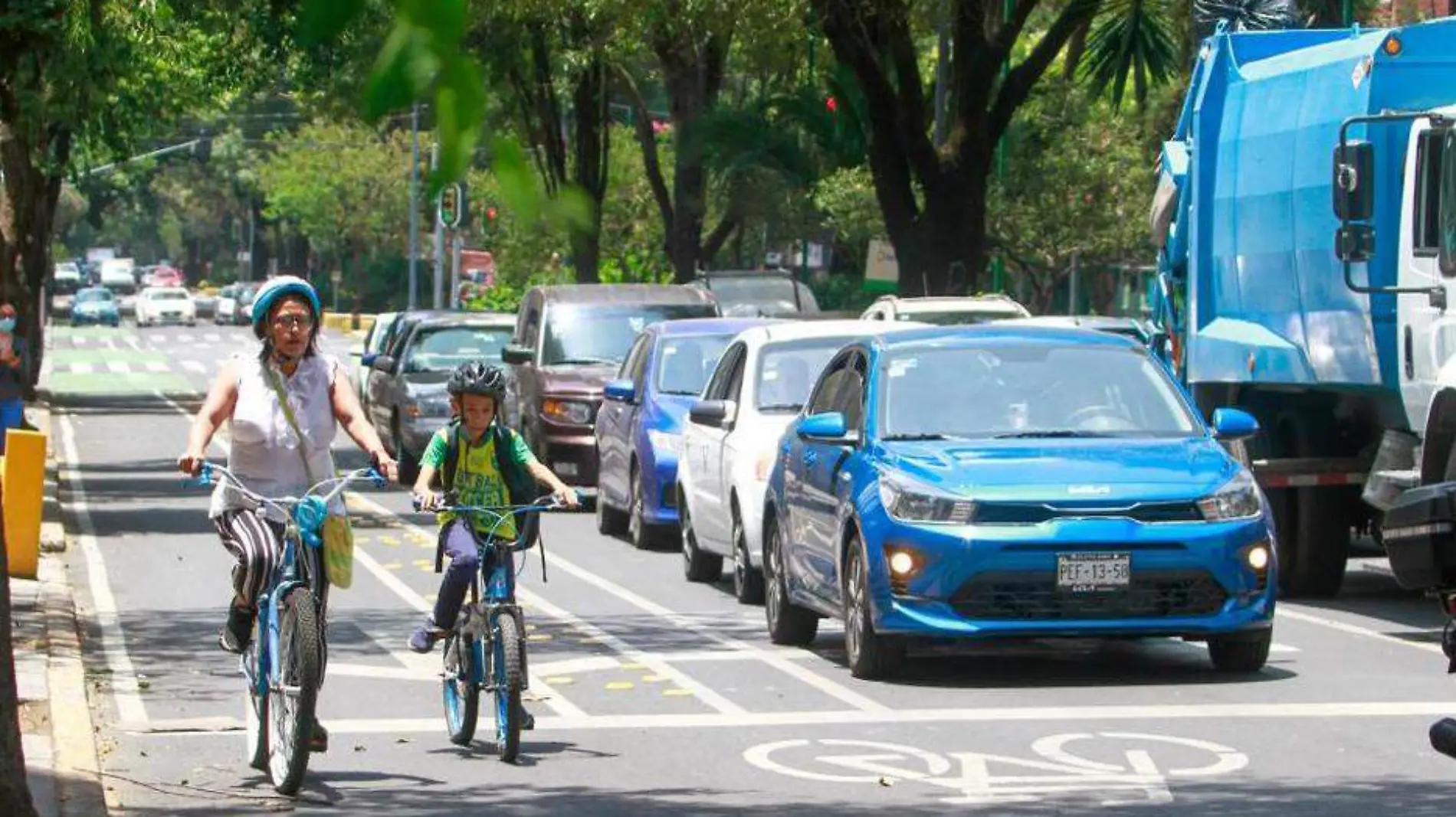 Ciclopista en avenida División del Norte. FOTO ROMINA SOLÍS (12)